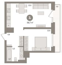 1-комн. квартира, 50.7 м²