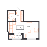 Студия, 31 м²