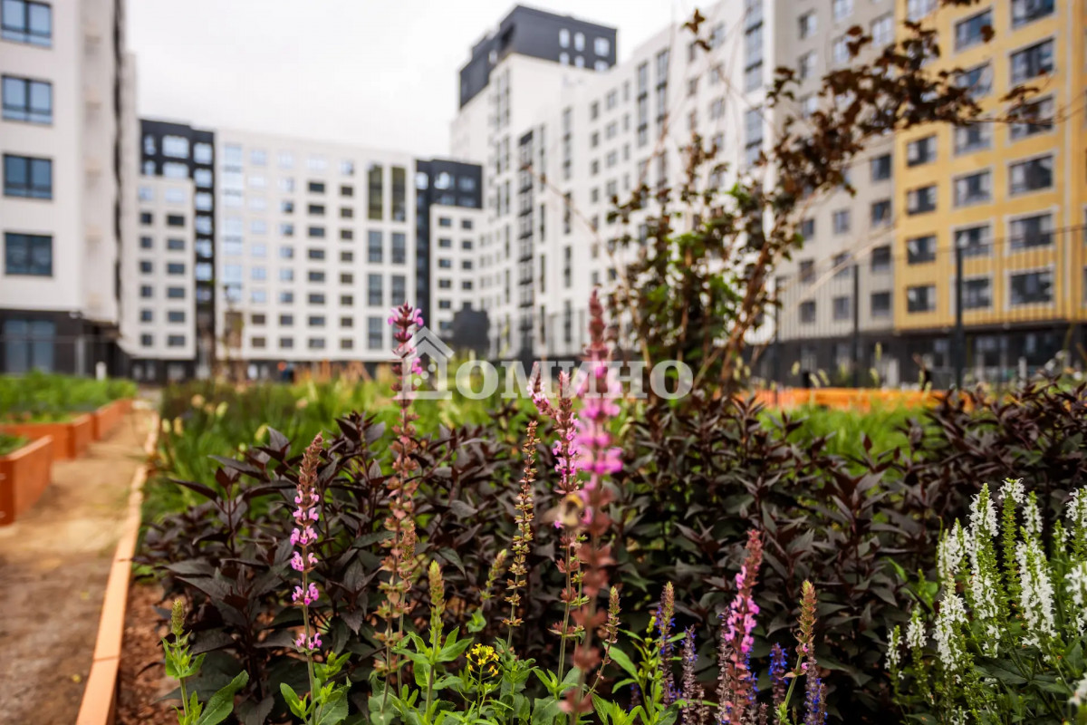 ЖК «Маэстро»